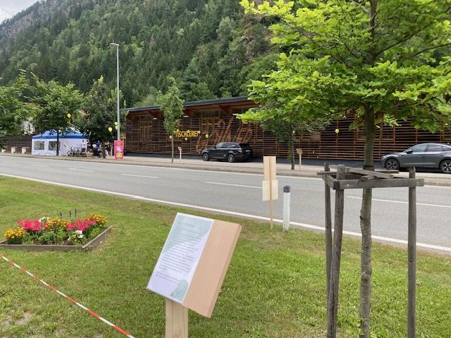 Tischler-Allee: Die Ortsdurchfahrt in St. Johann s&auml;umen verschiedene Baumarten, auf Holztafeln wird erkl&auml;rt, welches Holz wof&uuml;r am besten geeignet ist. Foto: Stangl
