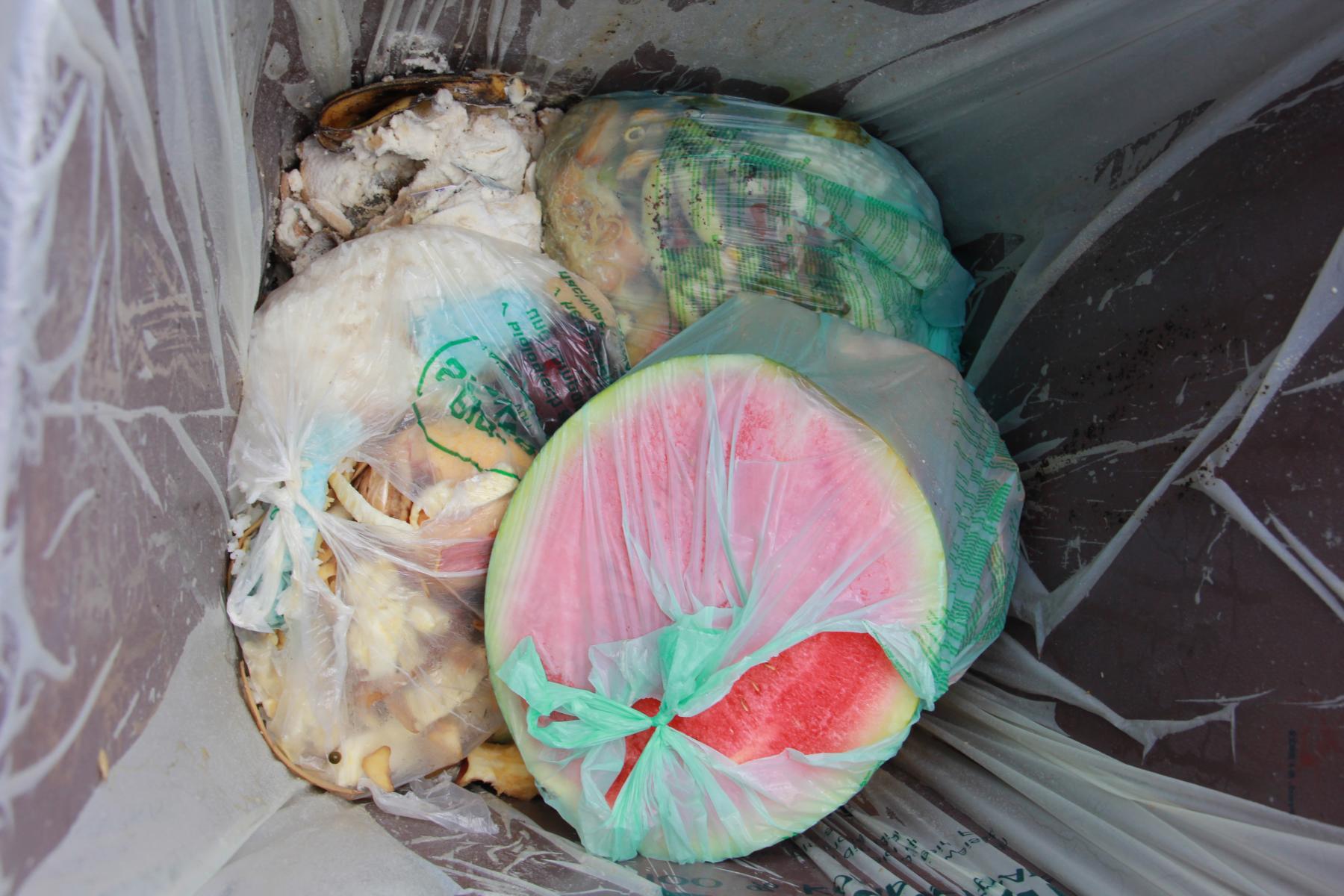 Abfallwirtschaftsverband Osttirol &ndash; Blick in die Restm&uuml;lltonne