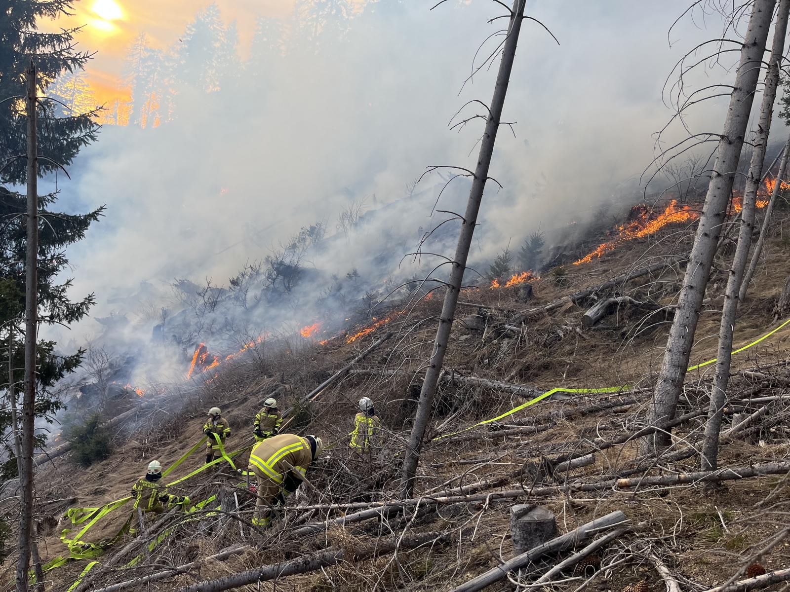 Rund 100 Einsatzkr&auml;fte sind am Samstag mit der Bodenbrandbek&auml;mpfung besch&auml;ftigt. Foto: BFV/FW Sillian
