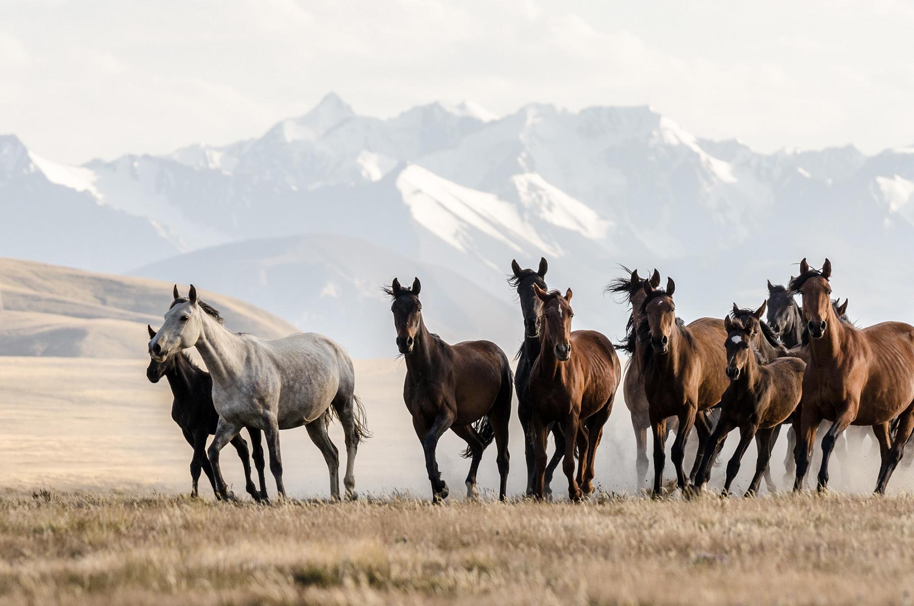 Foto: Christian Bock