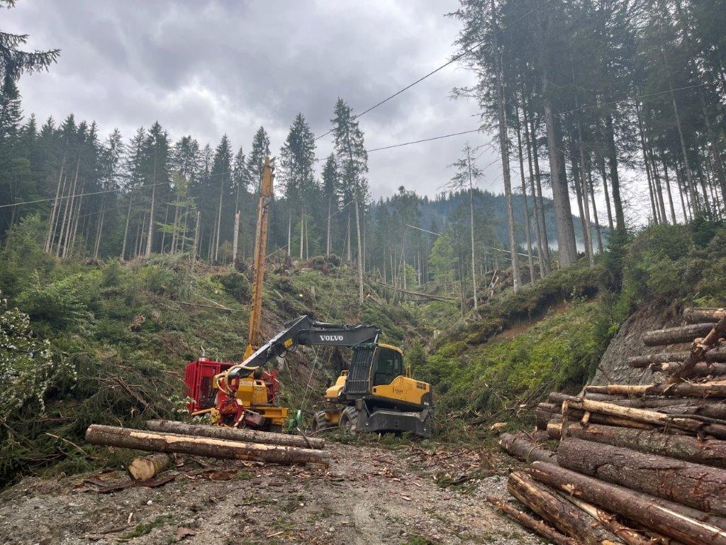 Die Aufarbeitungsarbeiten laufen in Nordtirol auf Hochtouren. Foto: Land Tirol