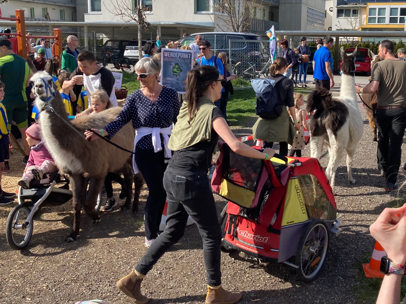 Ob auf R&auml;dern, mit zwei oder vier Beinen... alles war f&uuml;r den guten Zweck in Bewegung. Foto: Stangl