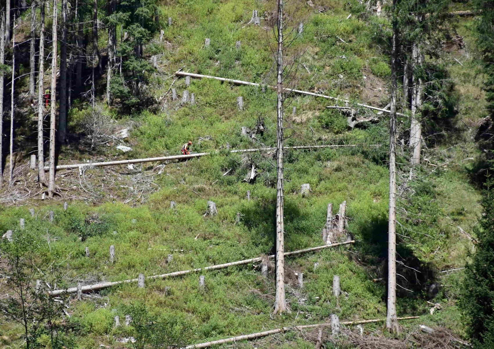 Blick vom Standort Zotten/St. Veit in Defereggen auf Querf&auml;llung. Foto: Land Tirol/Baumegger