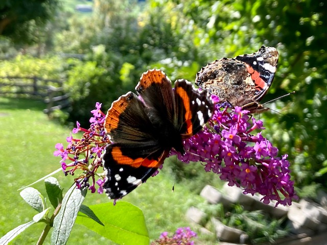 Foto: Brugger