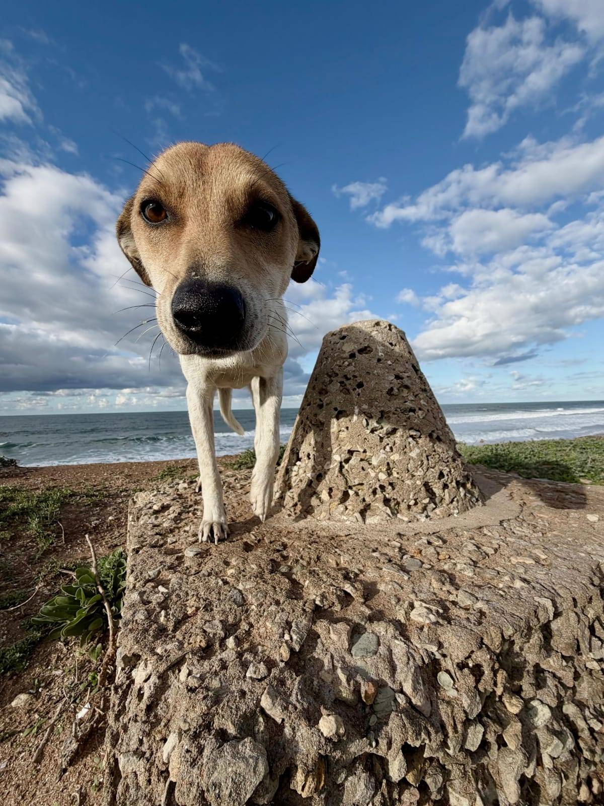 Foto: Katharina Zanon