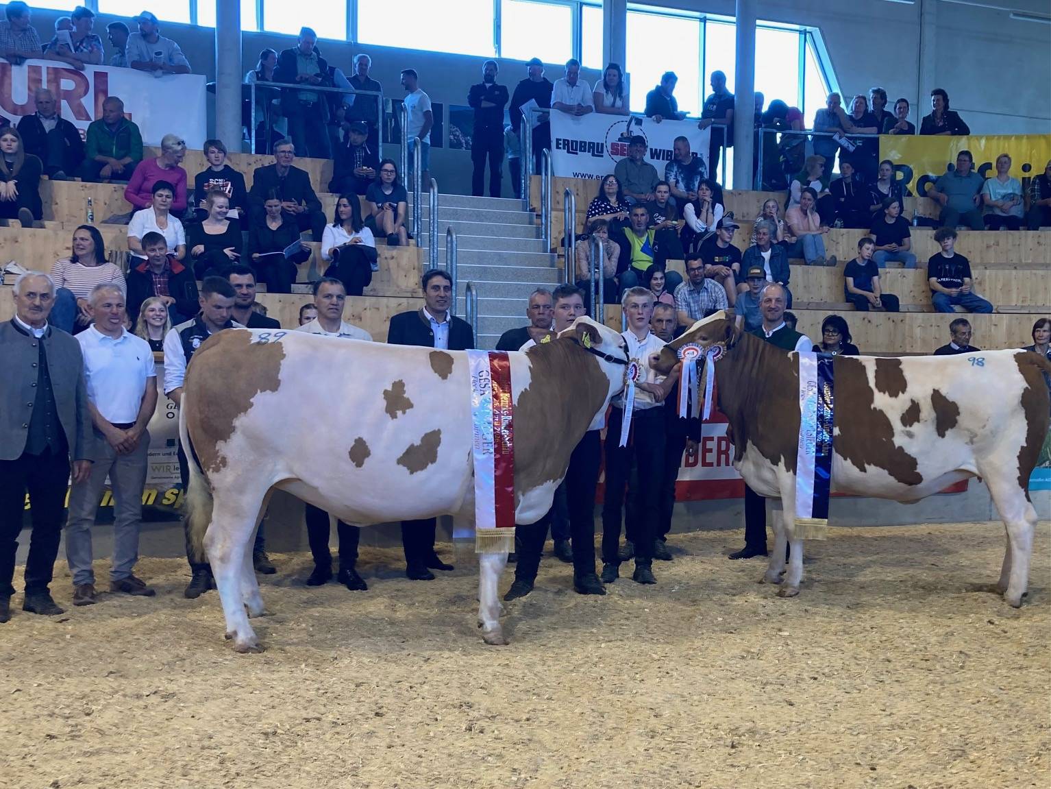 Gesamtsiegerin Fleckvieh-Kalbinnen "Coco Chanel" und Gesamt-Reservesiegerin "Bless". Foto: Stangl