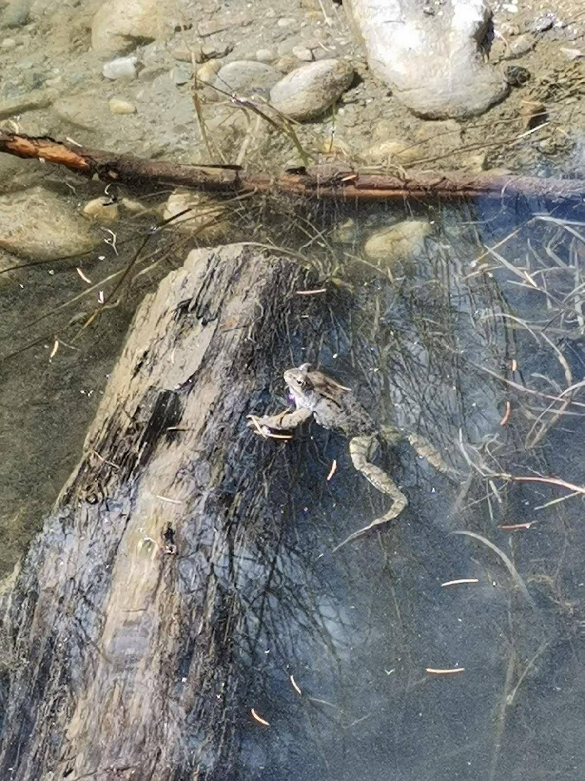 Foto: Osttirol Natur