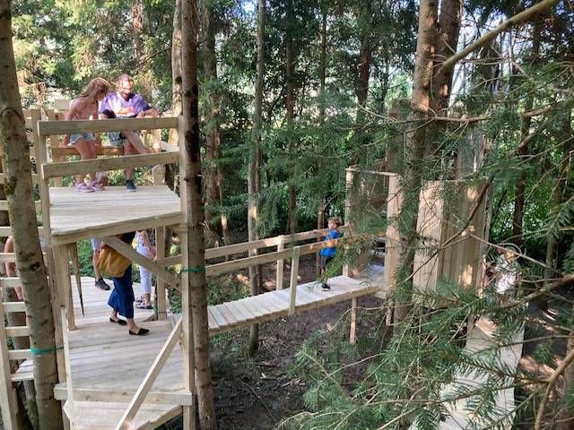 Der "Holzweg" durch den Wald hinter dem Museum Aguntum in im Rahmen der Architekturwerkstatt entstanden und bleibt noch einige Tage stehen. Foto: Stangl