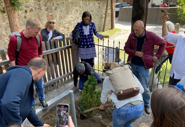 Ein Baum f&uuml;r den Frieden am Lienzer Soldatenfriedhof
