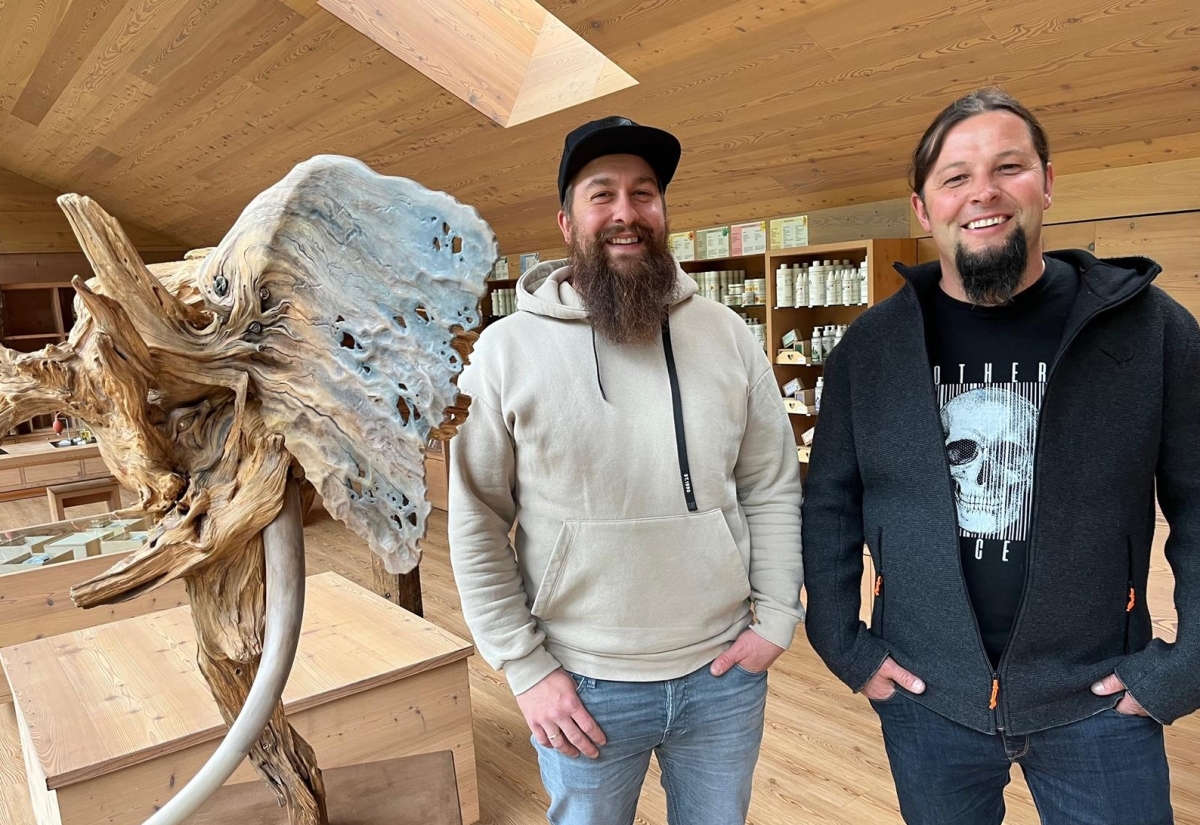 Kunstkraft: Stein, Holz und Metall im Vitalpinum