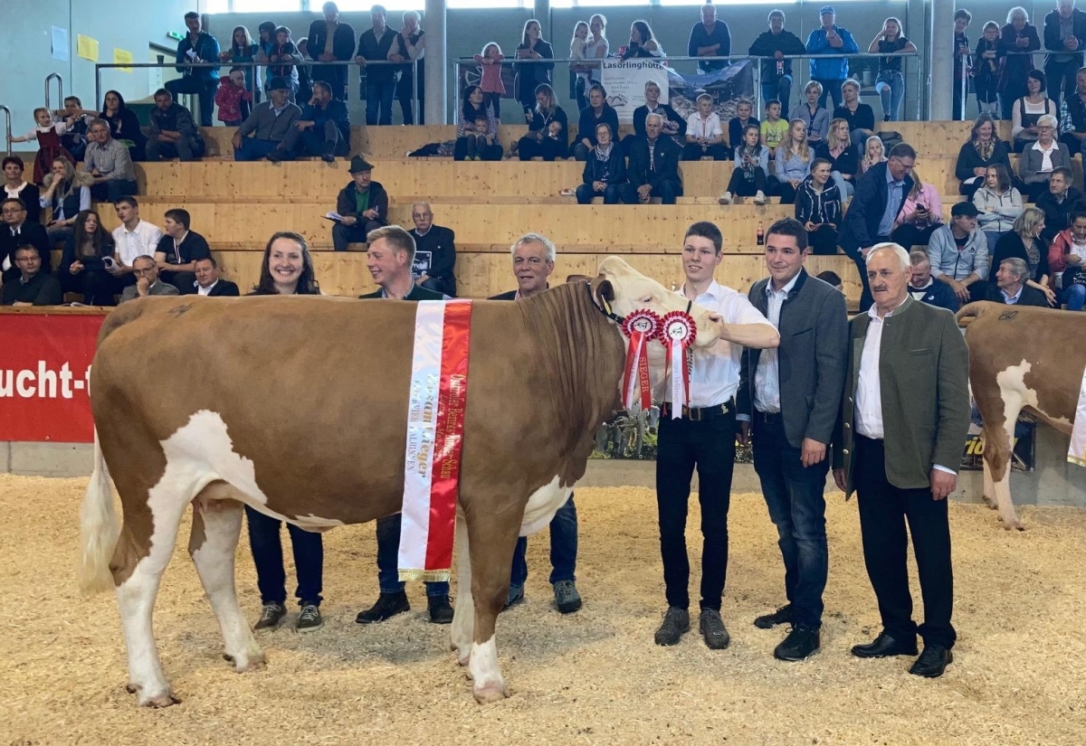 Die sch&ouml;nsten Rinder zum 10-Jahres-Jubil&auml;um der RGO Arena
