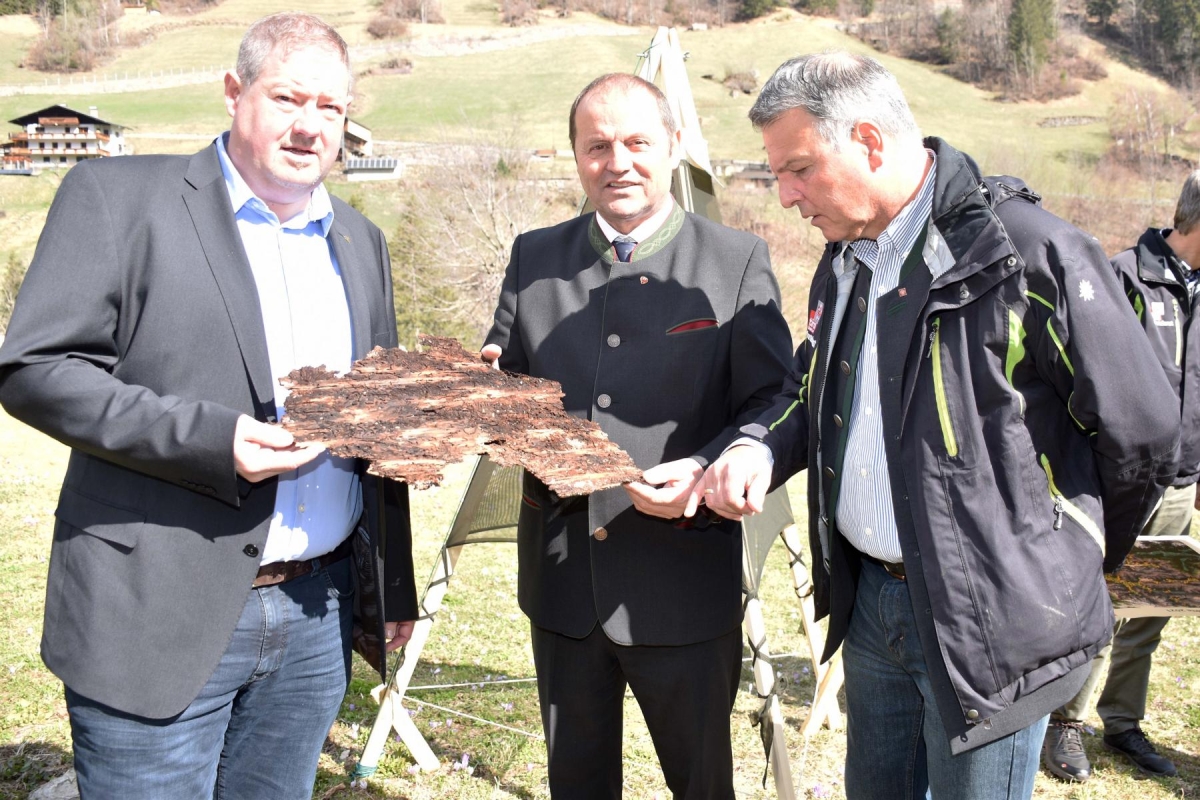 Breite Offensive gegen den Borkenk&auml;fer
