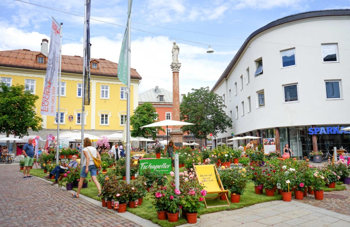 In Lienz bl&uuml;ht wieder der Rosengarten