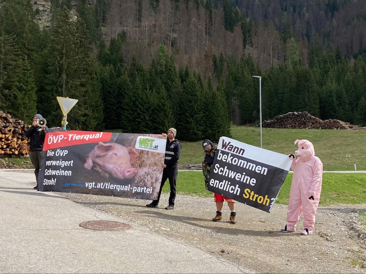 Ende des Vollspaltenbodens - VGT Protest in Obertilliach