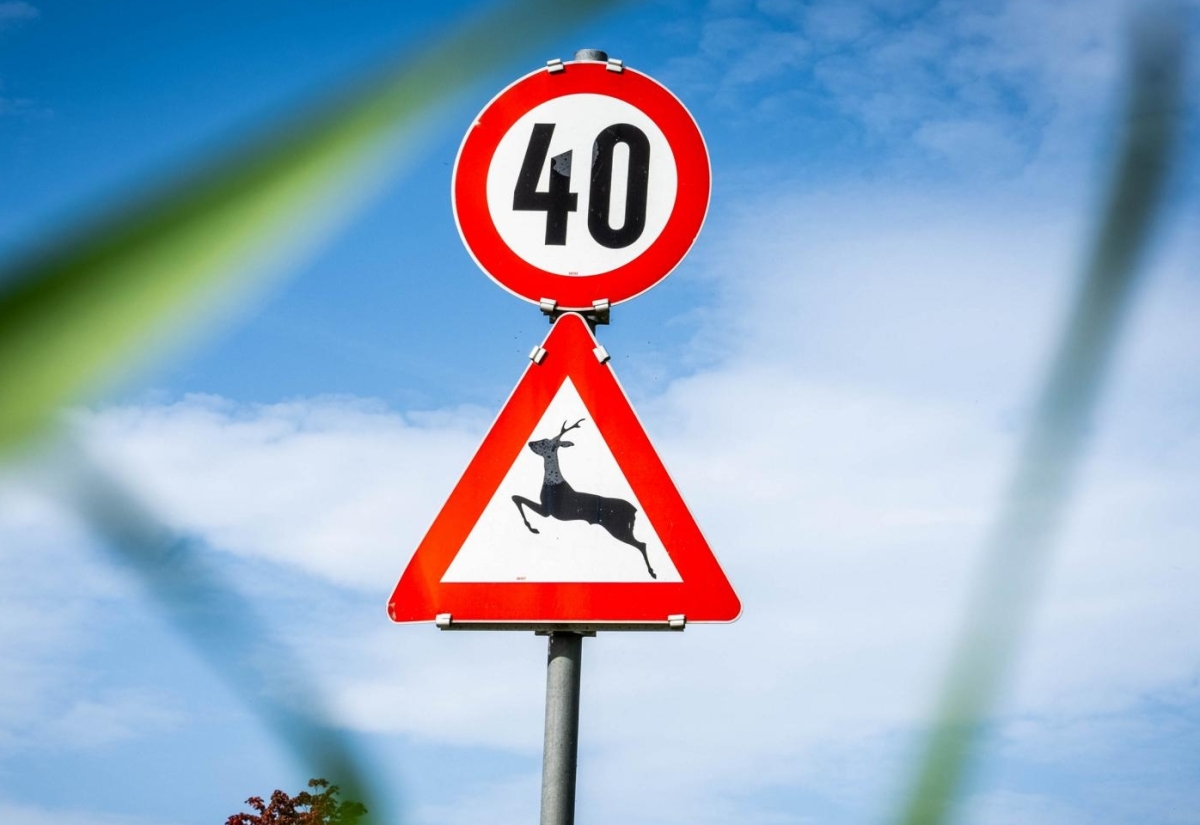 Wildwechsel: Herbstliche Gefahren auf den Stra&szlig;en