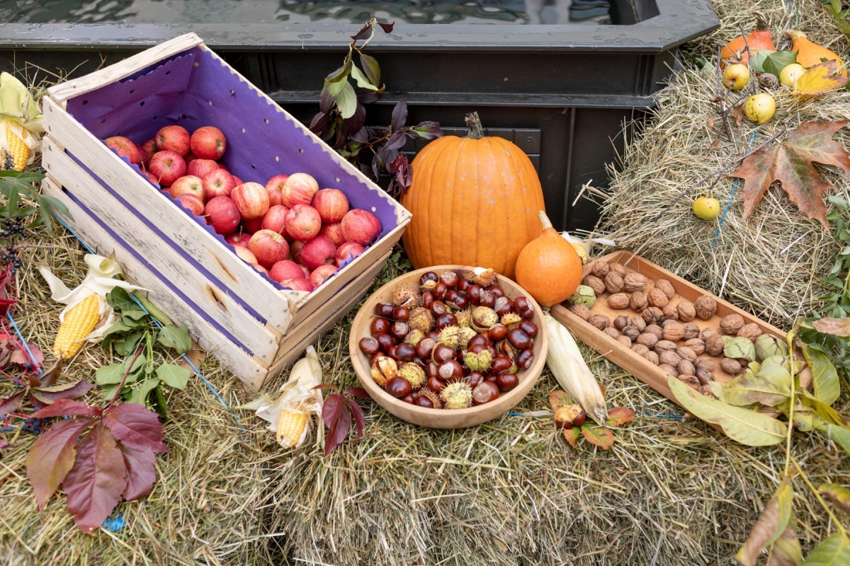 Mit allen Sinnen - Lienz im Herbst