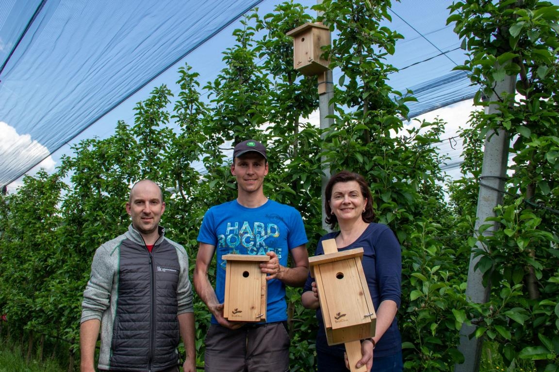 Vogelschutz - Nistk&auml;sten f&uuml;r den Obstbau