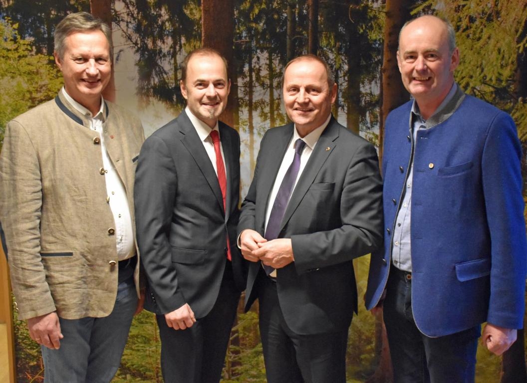 Tag des Waldes: gesunder Wald f&uuml;r Klimaschutz