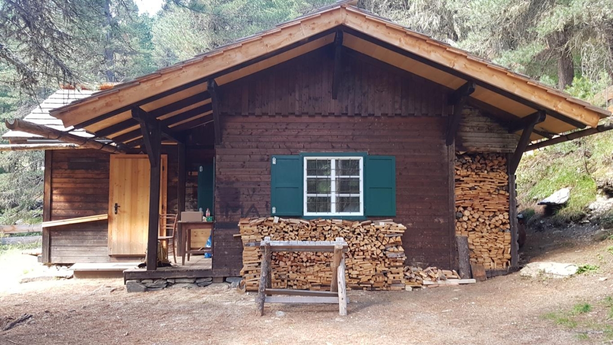 Freiwillige k&ouml;nnen im Herbst Almbauern unterst&uuml;tzen