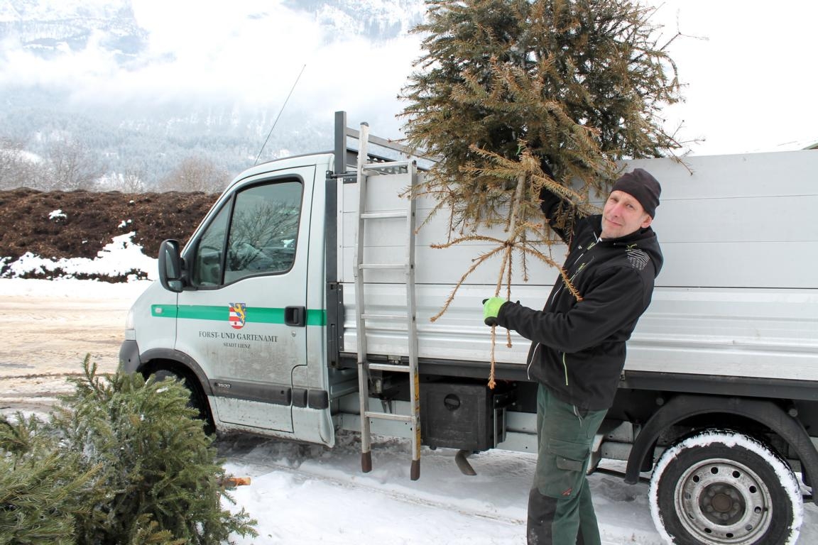 Christb&auml;ume werden zu Kompost