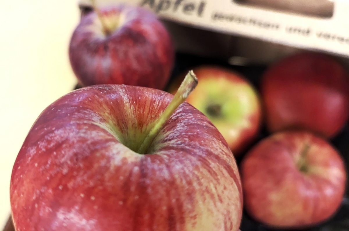 Apfelernte 2024 - Osttiroler &Auml;pfel &uuml;berzeugen in Qualit&auml;t
