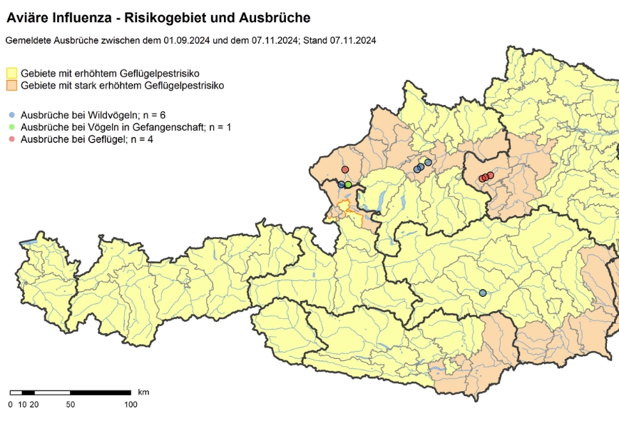 Vogelgrippe-Risiko steigt auch im Westen