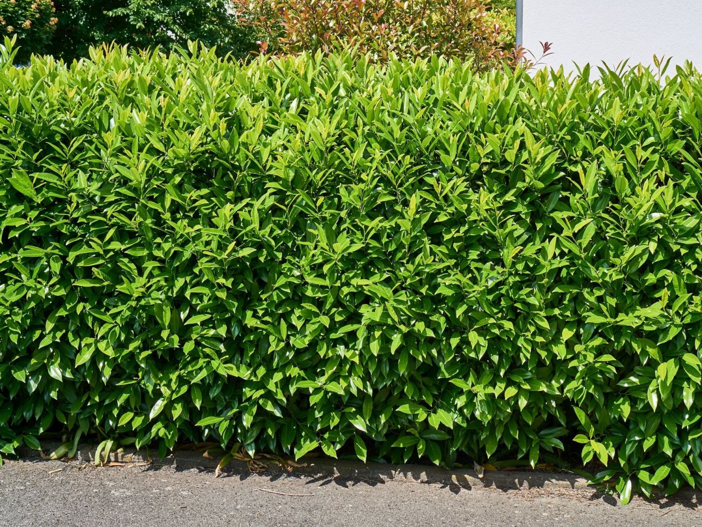 Die Risiken und Chancen von KI-Aktien