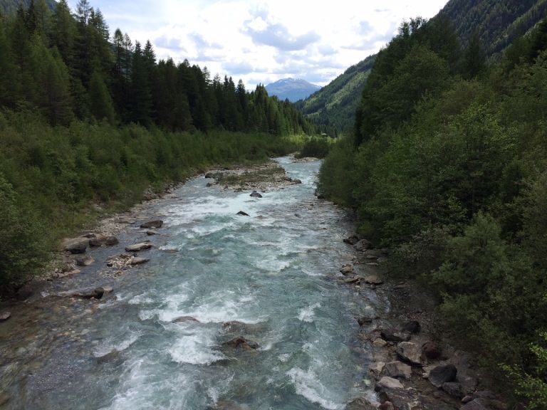 WWF: &bdquo;AUS f&uuml;r Kraftwerk Haslach am Kalserbach!&ldquo;