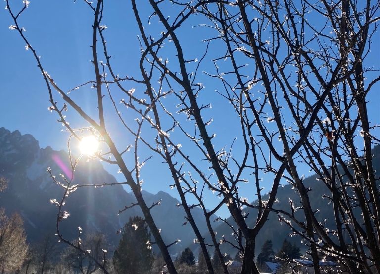 TeilnehmerInnen f&uuml;r Tiroler Resilienz-Studie gesucht