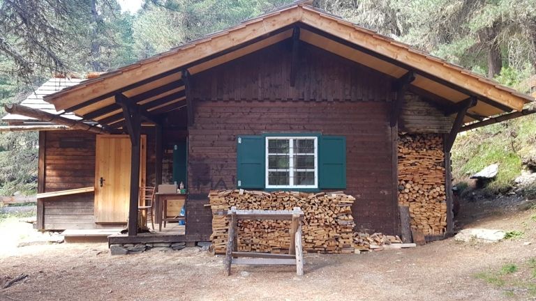 Freiwillige k&ouml;nnen im Herbst Almbauern unterst&uuml;tzen