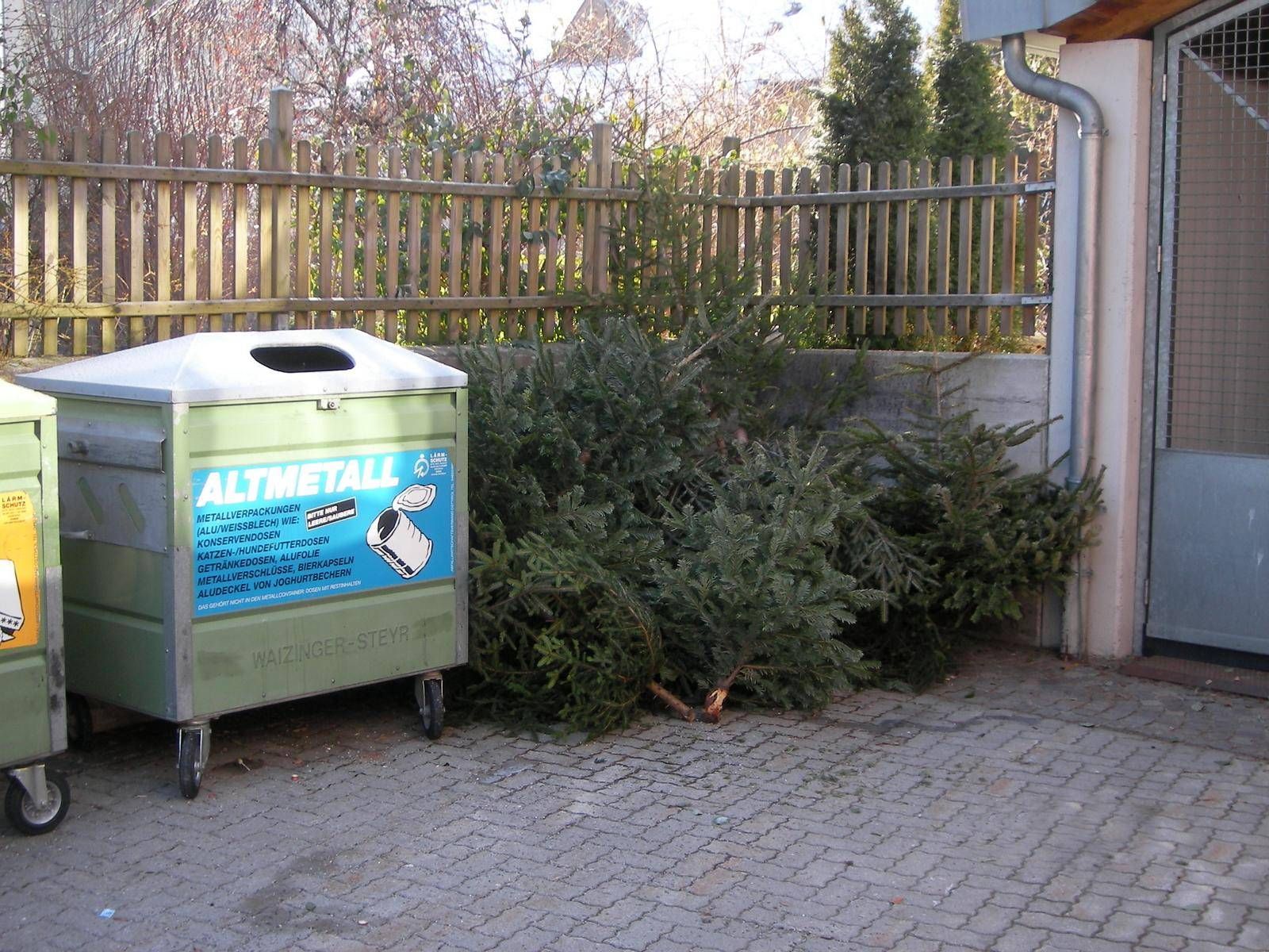 So liegen sie richtig, die ges&auml;uberten B&auml;ume, Foto: Stadt Lienz