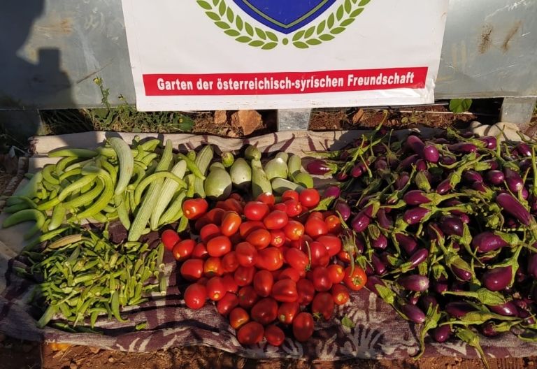 Osttiroler Hilfe in Syrien tr&auml;gt Fr&uuml;chte