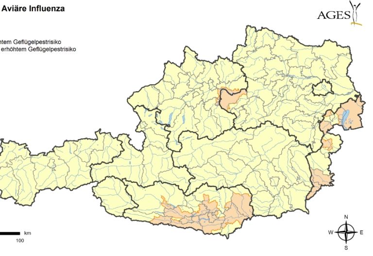 Vogelgrippe-Risiko steigt auch in Tirol 