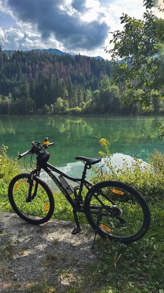 MUDDYFOX - Hinweise an PI Lienz