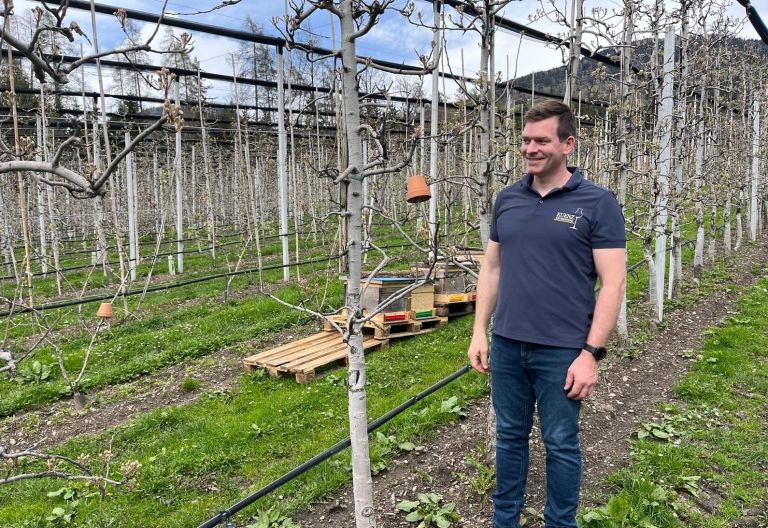 Obstbl&uuml;te in Osttirol so fr&uuml;h wie noch nie