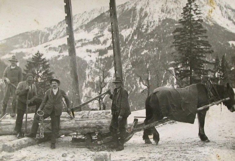 Revival des Kalser Holzfiahns