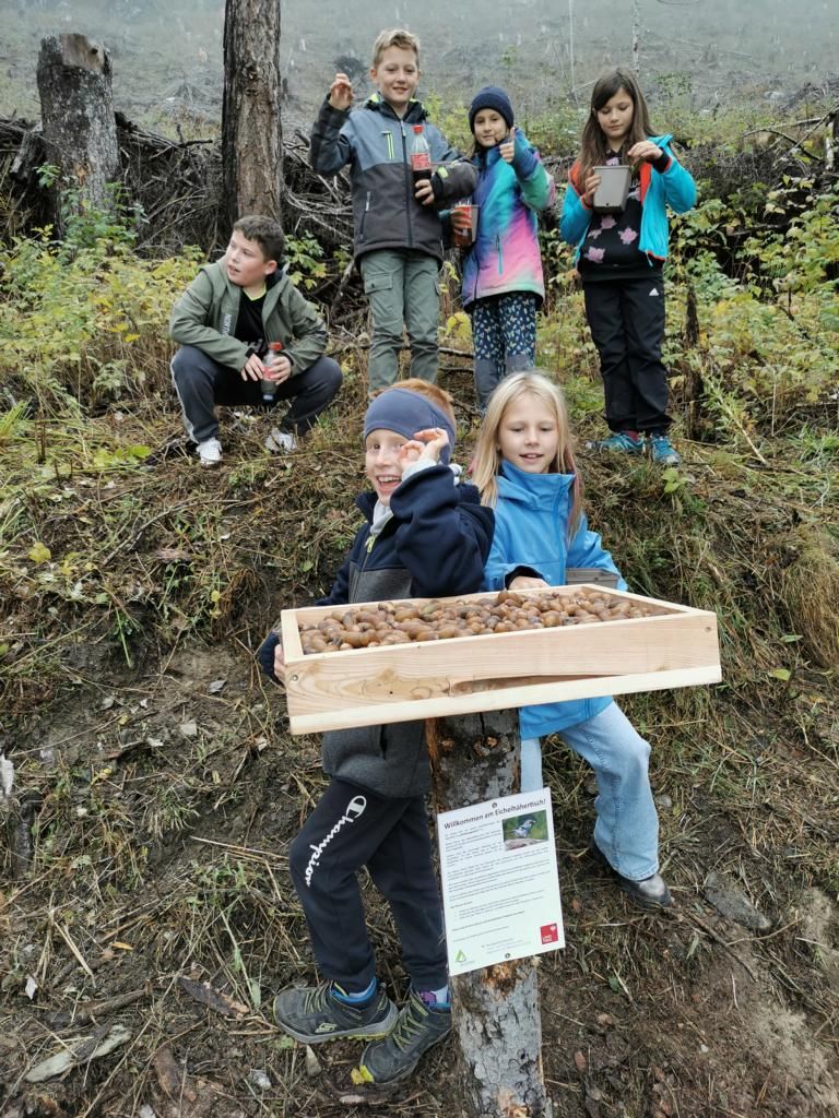 Mit diesem Projekt soll auch das Bewusstsein f&uuml;r die Natur bei den Kindern gest&auml;rkt werden, Foto: Artinger
