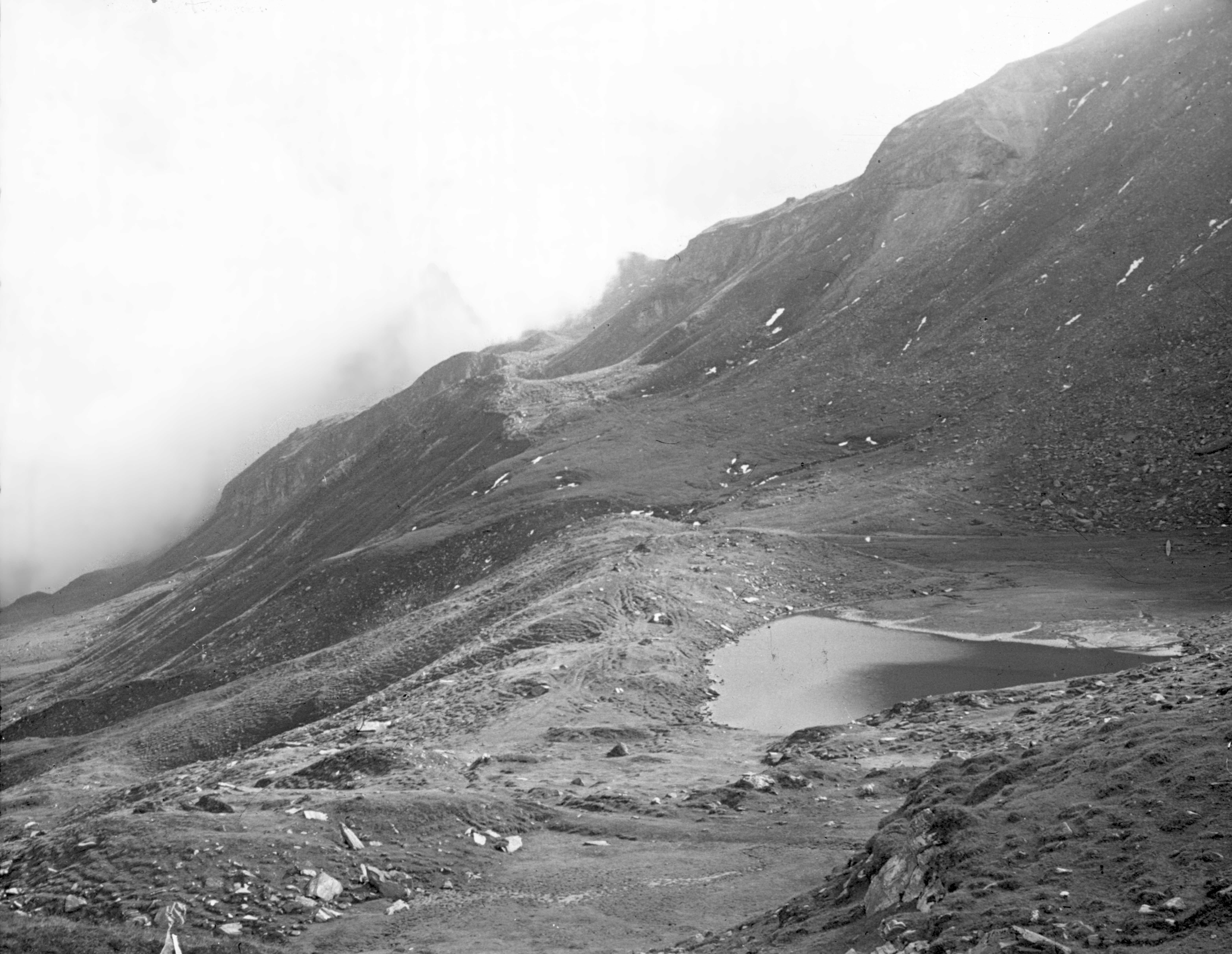 Fuscher-Lacke