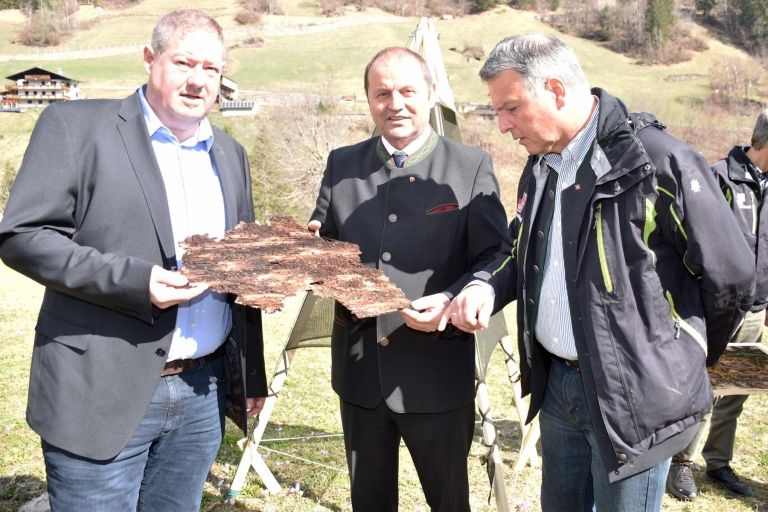 Breite Offensive gegen den Borkenk&auml;fer