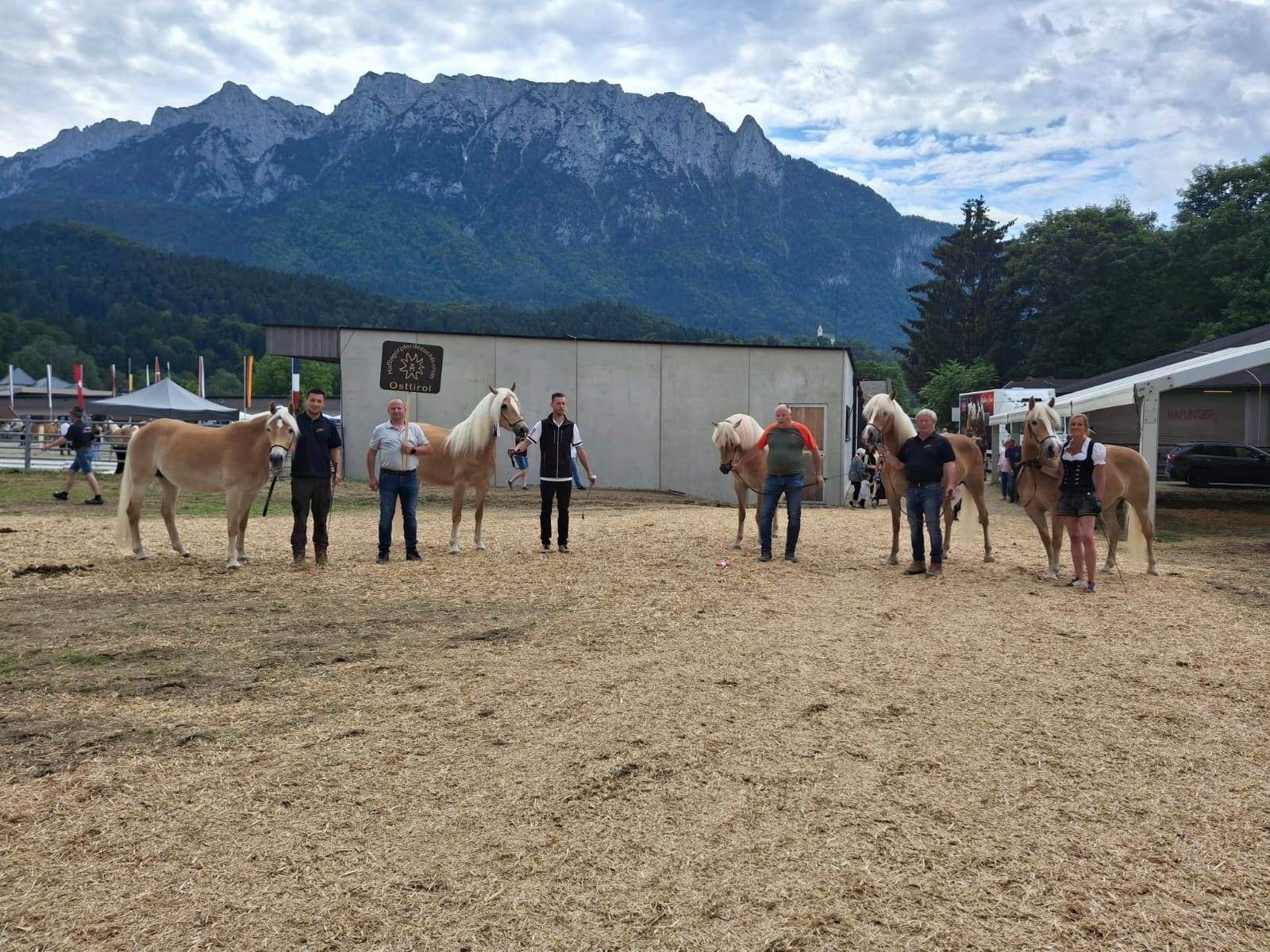 Haflinger-Weltausstellung