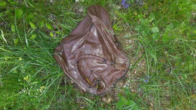 Tote Katzen in D&ouml;lsach aufgefunden