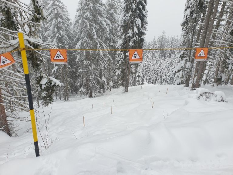 Osttiroler Schutzwald braucht Schutz vor Wintersportlern