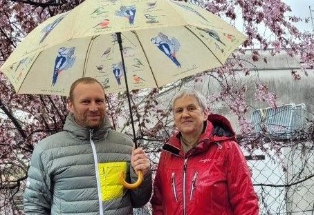 Wie kann man B&auml;ume in der Stadt besser sch&uuml;tzen?