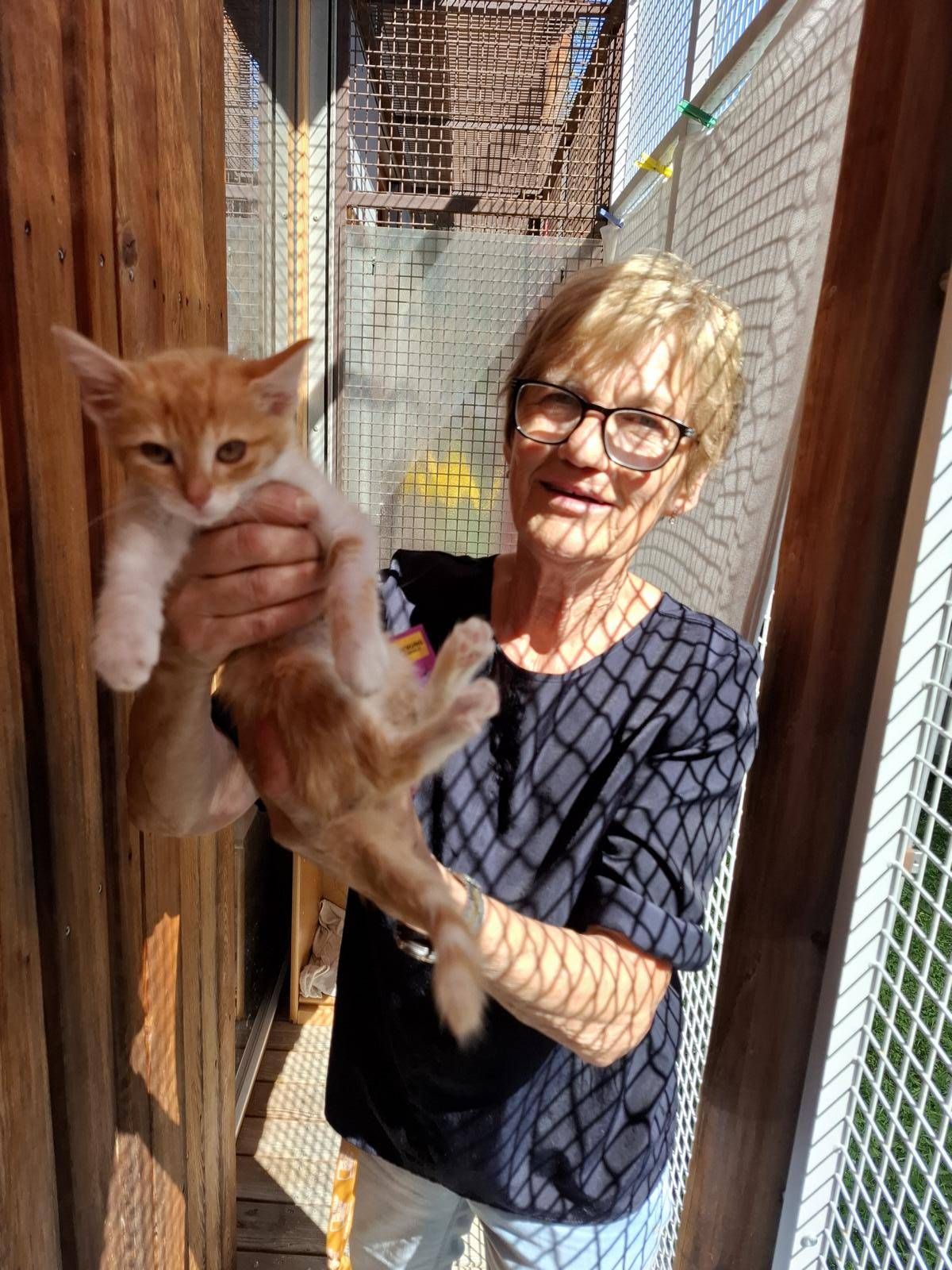 Helene Schranz, eine der sehr engagierten ehrenamtlich T&auml;tigen im Tierheim