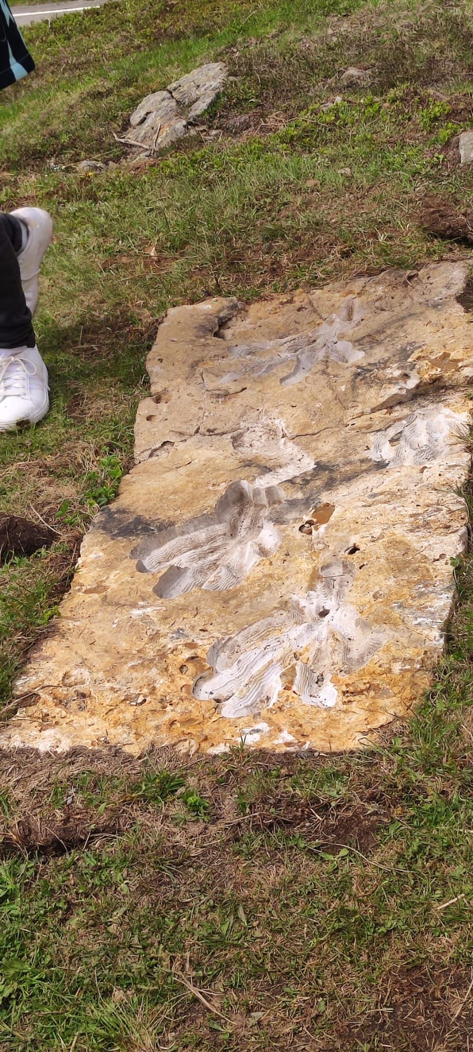 Drei solcher Reliefs sind von K&uuml;nstlerin Judith Neuh&auml;userer am Stallersattel errichtet worden. Die K&uuml;nstlerin arbeitete auch intensiv mit den Sch&uuml;lerinnen und Sch&uuml;lern beider Landesteile und produzierte auch mit ihnen tolle Kunstwerke. Foto: Schulcluster
