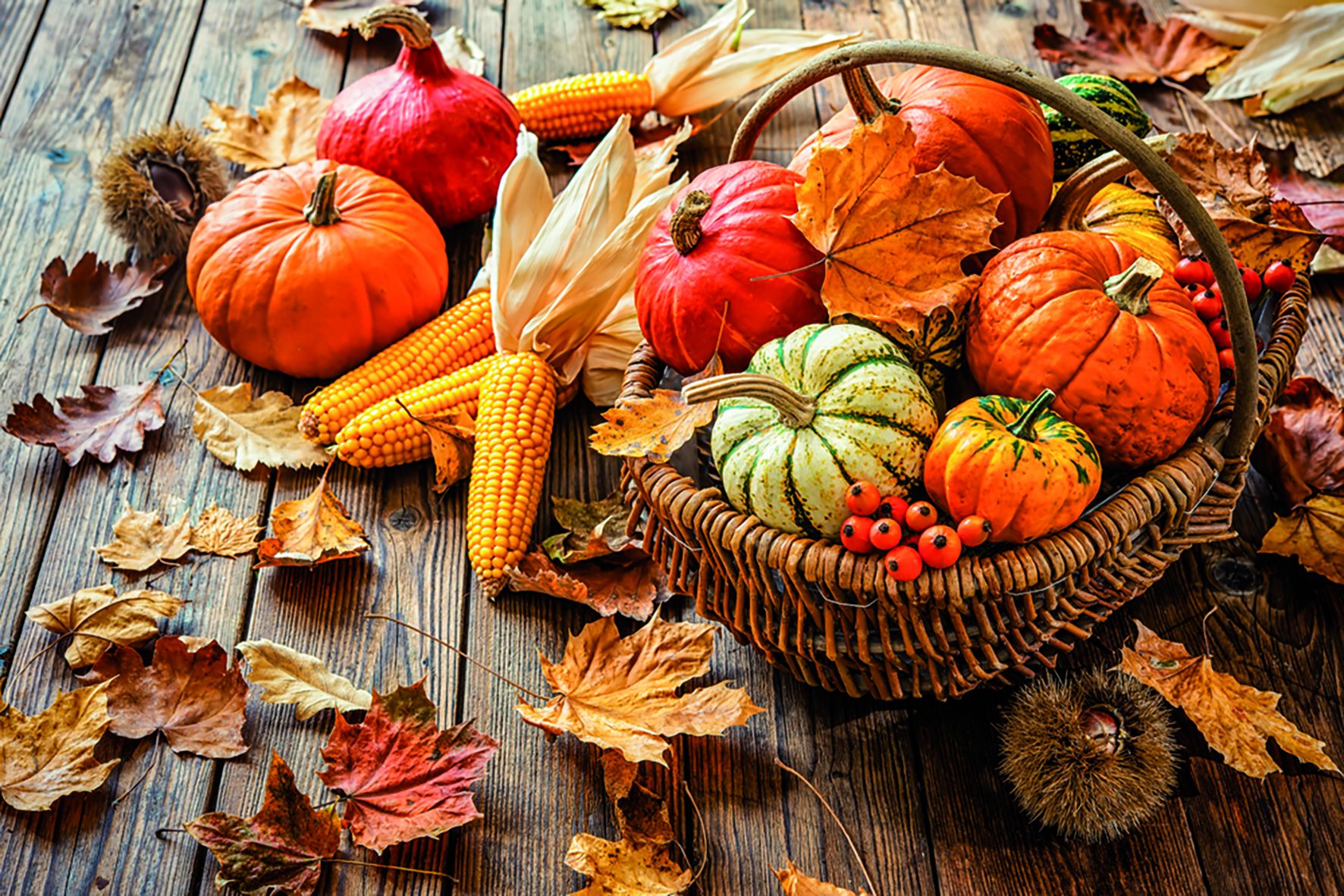 Regional und saisonal: K&uuml;rbisse z&auml;hlen im Herbst zu den heimischen Highlights. Symbolfoto