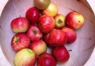 Interview mit Johannes Kuenz zum Tag des Apfels