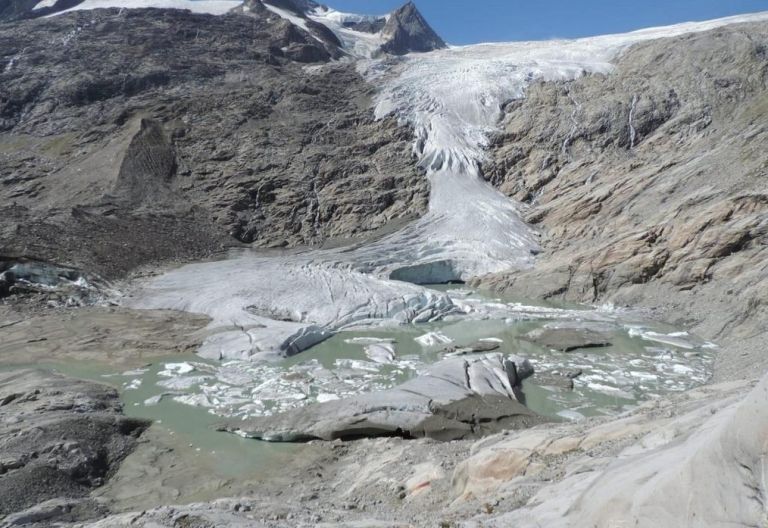 Knochenfund in der Venedigergruppe 