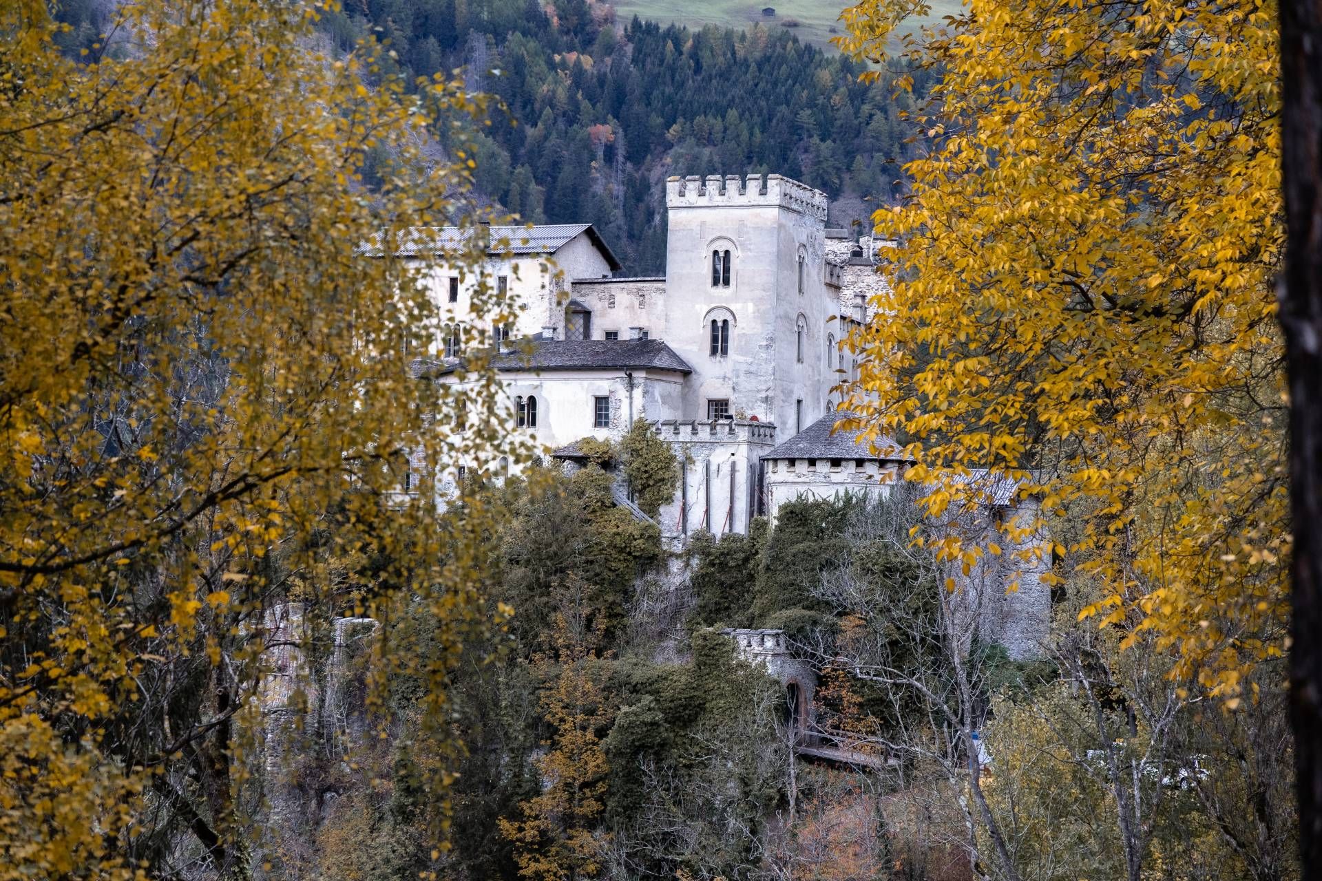 Schloss Weissenstein &copy; Thomas Isep