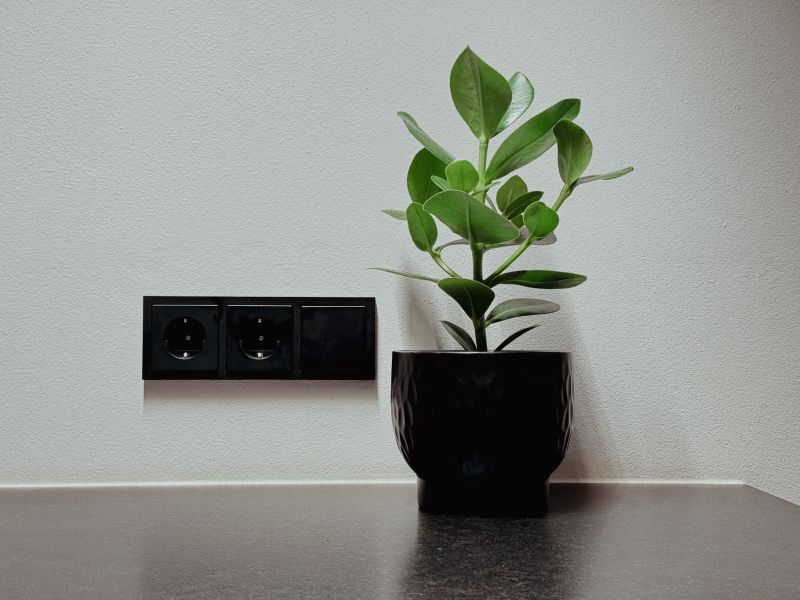 TIWAG senkt Strompreis ab Dezember